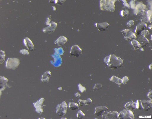 Blue microplastic particle
